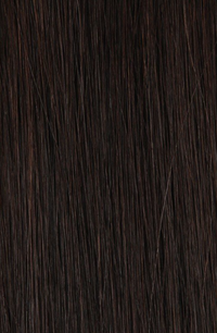Brun foncé